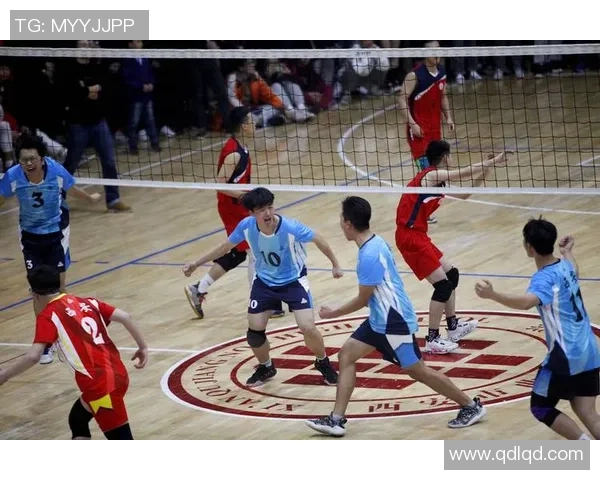 排球巨献：探秘西安排球队的节奏